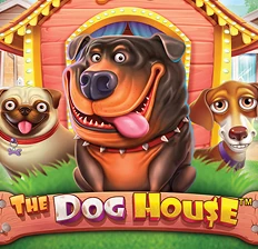 B7 Casino | Speel The Dog House en scoor vrolijke winsten met je favoriete viervoeters